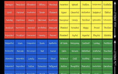 Emotional Intelligence RULER